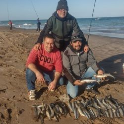 Tanto el pejerrey manila como el escardón fueron las vedettes en las últimas horas. Además, los panzones aparecieron en buenos tamaños. 