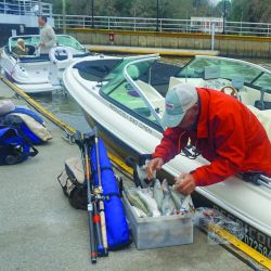 Si sabemos leer las condiciones meteorológicas, las mareas y el viento, los matungos de invierno estarán asegurados.