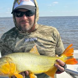 Del lado uruguayo los buenos pejerreyes atraen a muchísimos pescadores, pero otros sienten el imán por los dorados. Dos especies deportivas para aprovechar. 