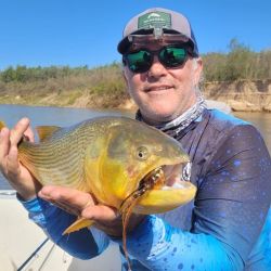 En Reconquista, el Paraná ostenta un rico delta plagado de islas, bancos, bocas, arroyos, juntas de agua, veriles, correderas y accidentes costeros que son sitios ideales para que el dorado haga de las suyas.