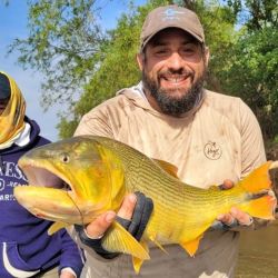En Reconquista, el Paraná ostenta un rico delta plagado de islas, bancos, bocas, arroyos, juntas de agua, veriles, correderas y accidentes costeros que son sitios ideales para que el dorado haga de las suyas.