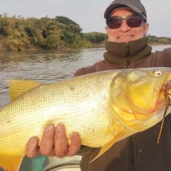 En Reconquista, el Paraná ostenta un rico delta plagado de islas, bancos, bocas, arroyos, juntas de agua, veriles, correderas y accidentes costeros que son sitios ideales para que el dorado haga de las suyas.