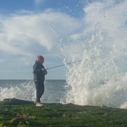 El róbalo es un pez que tiene sus mañas, frecuenta la zona de piedras y obliga a los pescadores a trabajar para dar con ellos. 