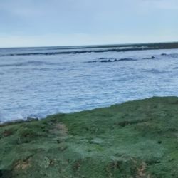 El róbalo es un pez que tiene sus mañas, frecuenta la zona de piedras y obliga a los pescadores a trabajar para dar con ellos. 