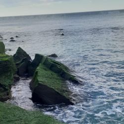 El róbalo es un pez que tiene sus mañas, frecuenta la zona de piedras y obliga a los pescadores a trabajar para dar con ellos. 