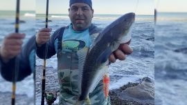 Róbalos entre El Cóndor y La Lobería