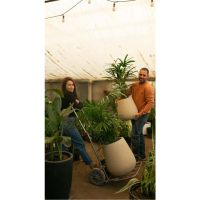 Vivero El Ceibo