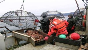Pesqueros reclaman por la prolongación del cupo de la merluza