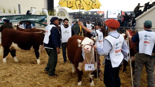Expo Rural 2026: a cuánto están las entradas y qué beneficios se podrán aprovechar para el evento