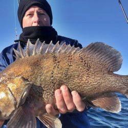 Mar del Plata se destaca por ser uno de los destinos preferidos de los pescadores, además, es de los más rendidores.