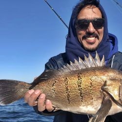 Mar del Plata se destaca por ser uno de los destinos preferidos de los pescadores, además, es de los más rendidores.