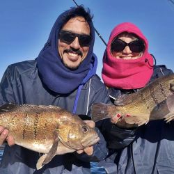 Mar del Plata se destaca por ser uno de los destinos preferidos de los pescadores, además, es de los más rendidores.