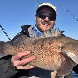 Mar del Plata se destaca por ser uno de los destinos preferidos de los pescadores, además, es de los más rendidores.