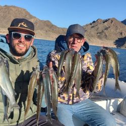 Los pescadores saben que en los diques de la provincia de San Juan pueden encontrar capturas sobresalientes. 