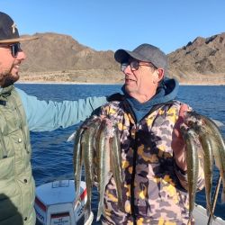 Los pescadores saben que en los diques de la provincia de San Juan pueden encontrar capturas sobresalientes. 