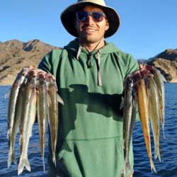 Los pescadores saben que en los diques de la provincia de San Juan pueden encontrar capturas sobresalientes. 