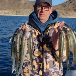 Los pescadores saben que en los diques de la provincia de San Juan pueden encontrar capturas sobresalientes. 