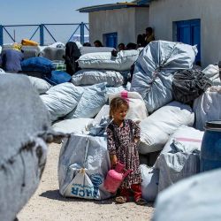 Un niño observa en el campamento de al-Hol, en la gobernación de Al-Hasaka, en el noreste de Siria. Foto de Delil SOULEIMAN / AFP | Foto:AFP