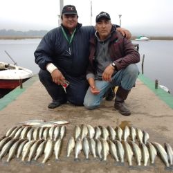 En ciertos puntos está la chance de hacer la cuota, pero en gran parte del ámbito, el pique es escaso. Fuerte controles del Club de Pesca en las cantidades de extracciones. 