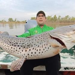 En esquina, un soberbio ejemplar que llegó a los 45 kilos. 