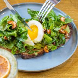 Los mejores avocado toast.