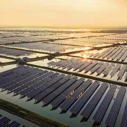 Paneles solares en la base de generación de energía fotovoltaica complementaria de pesca y energía solar en Lianyungang, en la provincia oriental china de Jiangsu. Foto de AFP | Foto:AFP