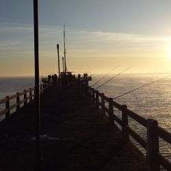 La llegada de un nuevo mes renueva las expectativas, más con temperaturas que se elevan y heladas que se empiezan a hacer más leves. 