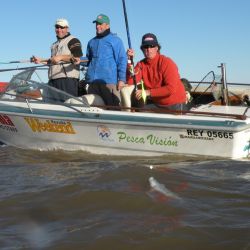 El pescador tiene su símbolo, esa imagen que lleva el nombre de Perecito, del pescador flaquito que va con su caña y su caja de pesca caminando ágilmente en busca del mejor lugar sin dejar su gorra y la pipa, una creación del marplatense Leocadio Pérez.