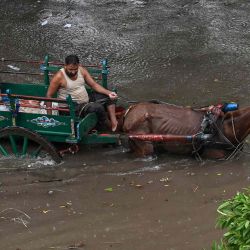 Un hombre en un carro tirado por caballos se desplaza por una calle inundada en un mercado tras las fuertes lluvias en Lahore, Pakistán. Foto de Arif ALI / AFP | Foto:AFP