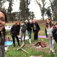 “Yoga entre Caballos”: La Magia Espiritual del Caballo en el Yoga: Fuerza, Libertad y Conexión