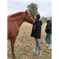 “Yoga entre Caballos”: La Magia Espiritual del Caballo en el Yoga: Fuerza, Libertad y Conexión
