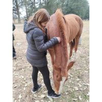 “Yoga entre Caballos”: La Magia Espiritual del Caballo en el Yoga: Fuerza, Libertad y Conexión