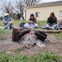 “Yoga entre Caballos”: La Magia Espiritual del Caballo en el Yoga: Fuerza, Libertad y Conexión