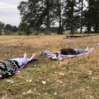 “Yoga entre Caballos”: La Magia Espiritual del Caballo en el Yoga: Fuerza, Libertad y Conexión