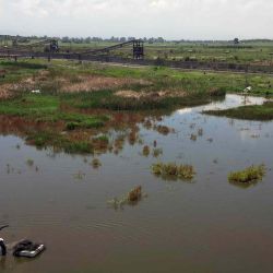 Vista aérea de un campesino jalando una balsa de unicel para recolectar huevos de mosquito ('ahuautle' en náhuatl, también conocido como caviar mexicano). Foto por ALFREDO ESTRELLA / AFP | Foto:AFP