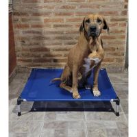Mundo Lona, diseño, utilidad y limpieza para el descanso de tu mascota