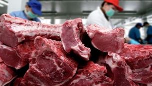 Tras los anuncios en La Rural, aseguran que "el ganadero va a apostar a producir más kilos de carne”