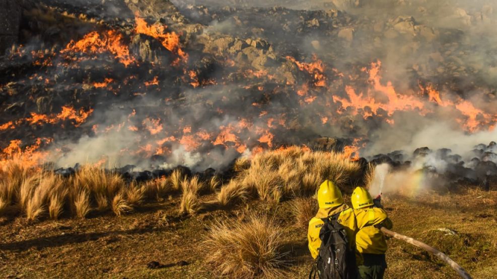 Incendio forestal en Córdoba