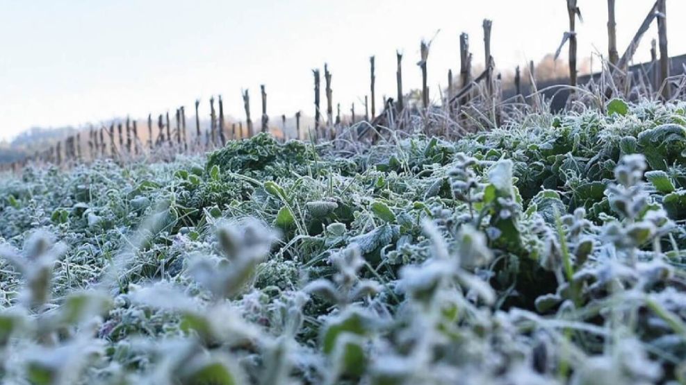 Las temperaturas llegaron hasta los -27°C.