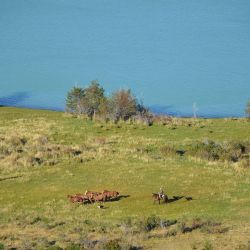 Estancia La Josefina, a orillas del lago San Martin y a 270 km de El Calafate.
