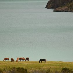Estancia La Josefina, a orillas del lago San Martin y a 270 km de El Calafate.