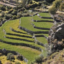 Andenes en el Valle de Cotahuasi,  Reserva paisajística Subcuenca del Cotahuasi, Perú.