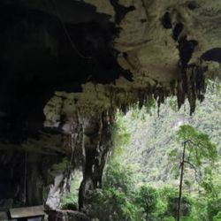 complejo de cuevas del Parque Nacional Niah, Malasia