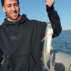 Otra semana interesante en un mes de agosto que es de los más rendidores para el pejerrey, tanto en ambientes lagunares como en el Río de la Plata.