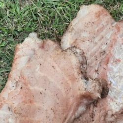 Los restos de carne de yacaré que transportaban ocultos en bolsas.