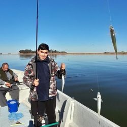 Los mejores tamaños se dieron buscando en profundidades mayores a los 2 metros, encarnando con mojarra viva. Se dieron algunos dobletes y un triplete, lo que habla de una laguna superpoblada. 