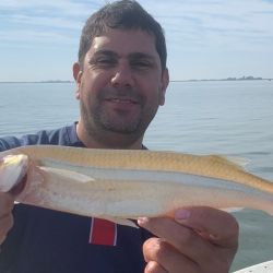 Los mejores tamaños se dieron buscando en profundidades mayores a los 2 metros, encarnando con mojarra viva. Se dieron algunos dobletes y un triplete, lo que habla de una laguna superpoblada. 