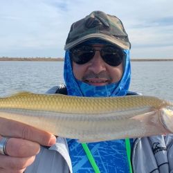 Los mejores tamaños se dieron buscando en profundidades mayores a los 2 metros, encarnando con mojarra viva. Se dieron algunos dobletes y un triplete, lo que habla de una laguna superpoblada. 