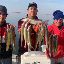 Los mejores tamaños se dieron buscando en profundidades mayores a los 2 metros, encarnando con mojarra viva. Se dieron algunos dobletes y un triplete, lo que habla de una laguna superpoblada. 