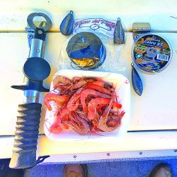 Plomadas de 40 a 70 gramos, un camarón pasado de cola a cabeza como carnada en cada anzuelo (sin atarlo)  y a probar suerte.